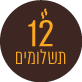 12 תשלומים